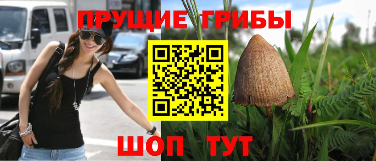 Гуково  Галлюциногенные грибы GOLDEN TEACHER  Вход с VPN  Галлюциногенные грибы мухоморы 