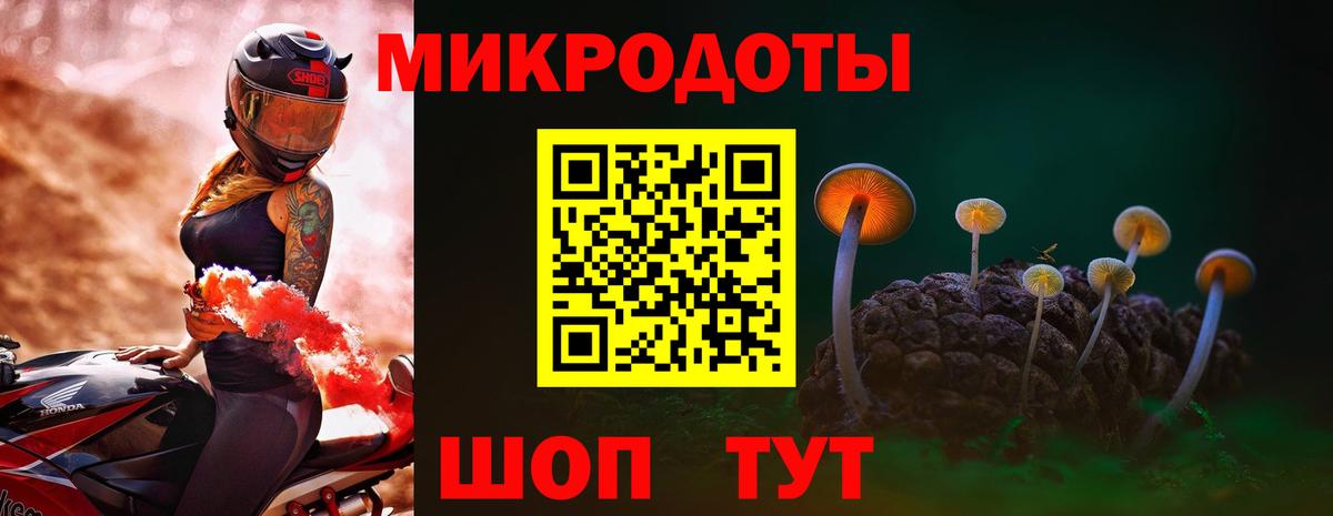 Галлюциногенные грибы Psilocybe Гуково